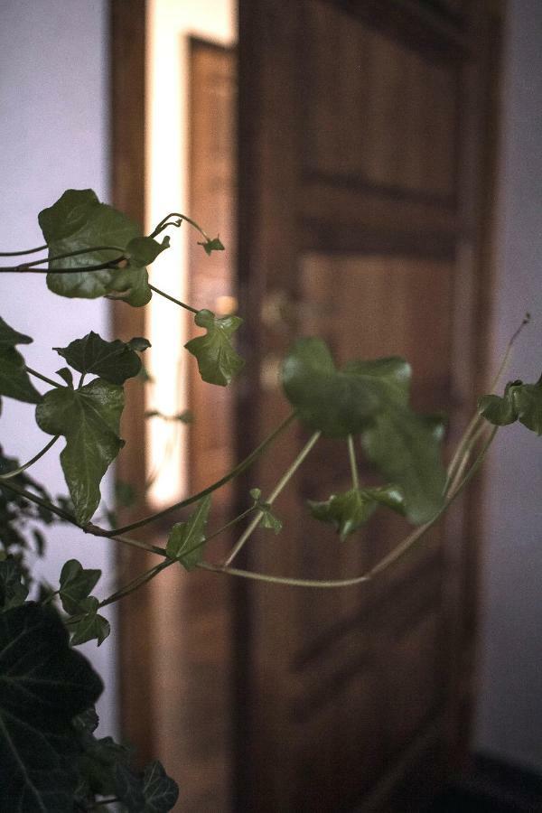 Ventspils Centra Apartamenti 外观 照片